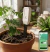 Sensor de humedad de suelo - comprar online