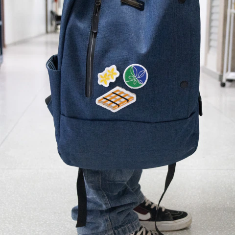 Patches Botânica