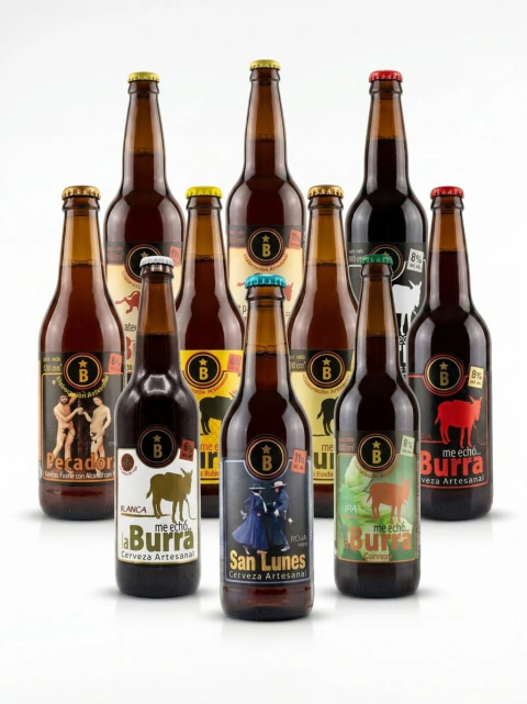 COMBO DEGUSTACIÓN ME ECHÓ LA BURRA 660 cc - Caja x 12 botellas