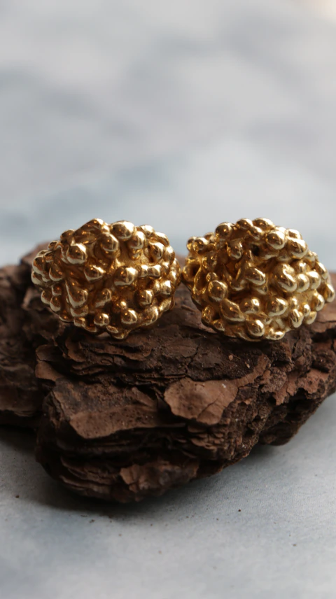 Anillo Nódulo