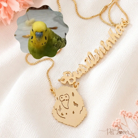 Colar Carinha Pet e Nome - Banhado a Ouro