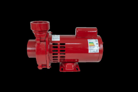 Motobomba Incêndio 1,5cv 60Hz Monofásico 110/220V ECS-150IN Eletroplas