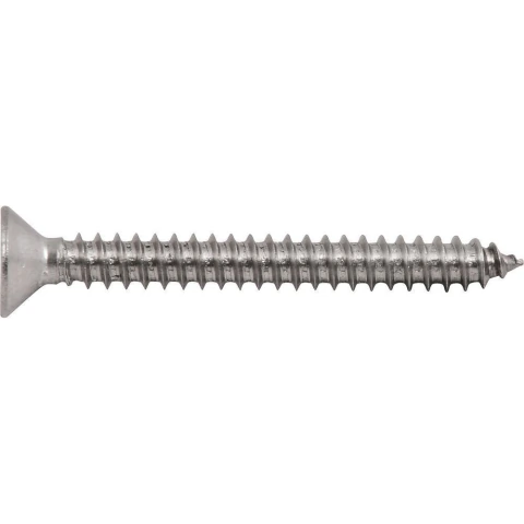 Parafuso Autoatarraxante Inox 5,5x50,0mm Phillips Vonder