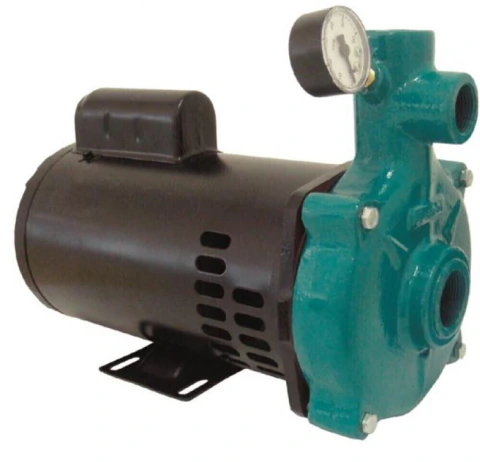 Motobomba Injetora 1cv 60Hz 110/220V I-210 ECI-100/30M Eletroplas
