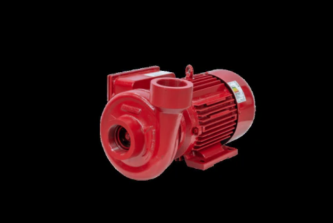 Motobomba Incêndio 7,5cv 60Hz Trifásico 220/380V ECS-750IN Eletroplas