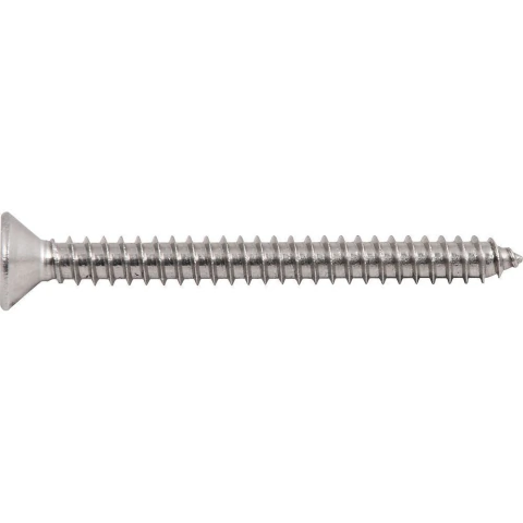 Parafuso Autoatarraxante Inox 4,8x50,0mm Phillips Vonder