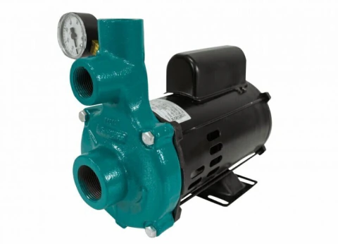 Motobomba Injetora 3/4cv 60Hz 110/220V I-110 ECI-75M Eletroplas