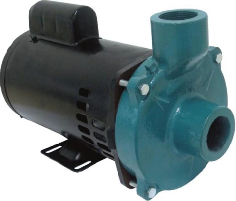 Motobomba Standard 2cv 60Hz 127/220V ECS-SA200M Eletroplas