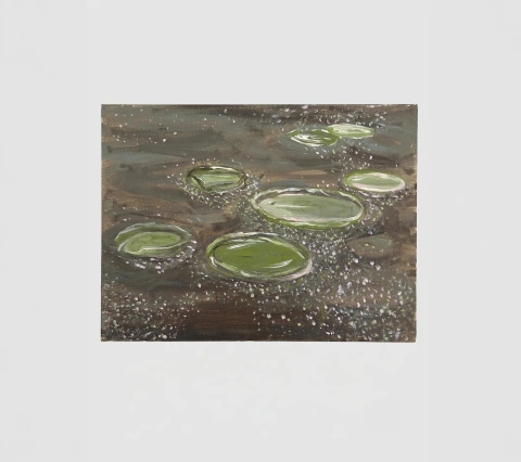 VITÓRIA-RÉGIA I