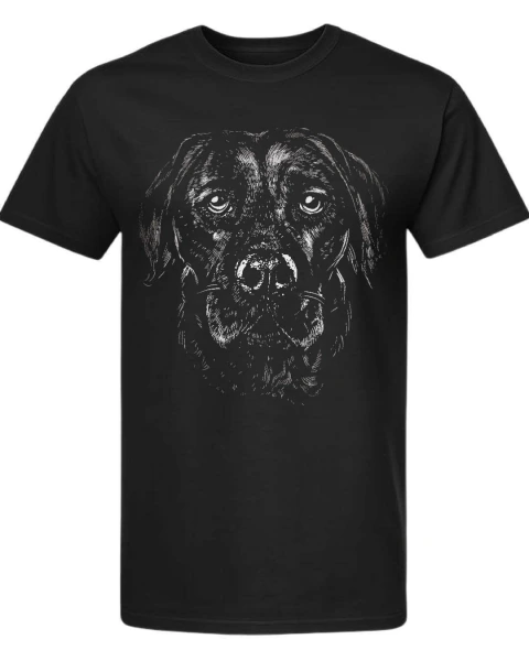 Labrador