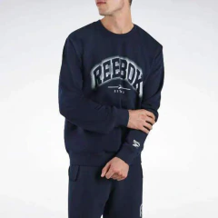 Buzo Reebok Arch Shadow Crewneck Sweat Shirt Navy (136-253148) - comprar online