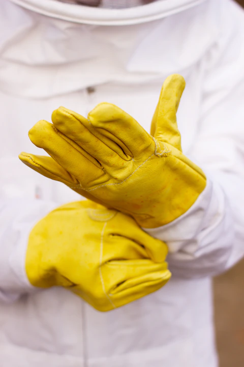 GUANTES