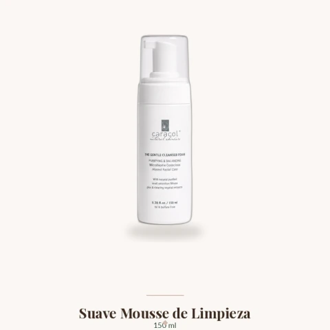 Suave Mousse de Limpieza de Rostro — Caracol Natural Skincare