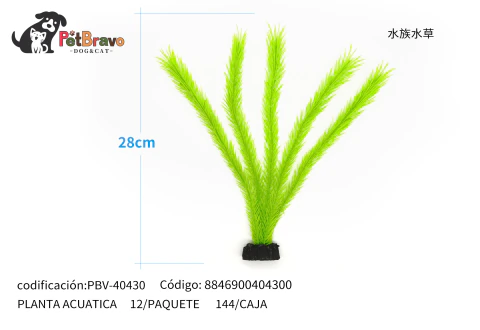 PLANTA ACUATICA