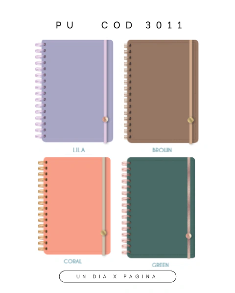 Agenda Ry 15X21 Dia X Pag Cod 3011