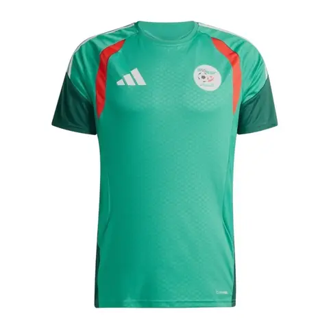 Camisa Seleção Argélia Treino 26/27 - Torcedor Adidas Masculina - Verde - comprar online