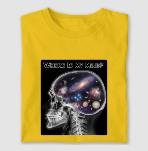 Where Is My Mind?
