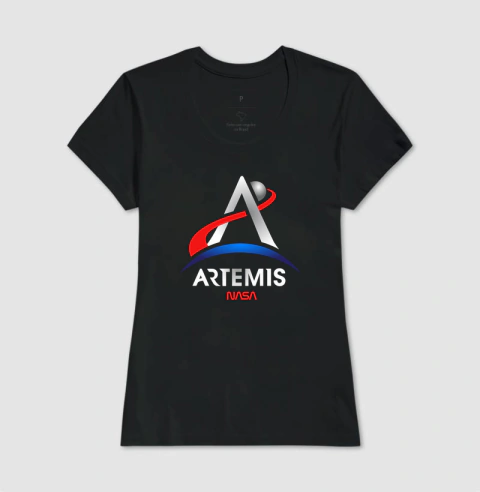 Nasa Artemis na internet