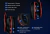 Auriculares Over-Ear Inalámbricos Bluetooth 5.0 - comprar online