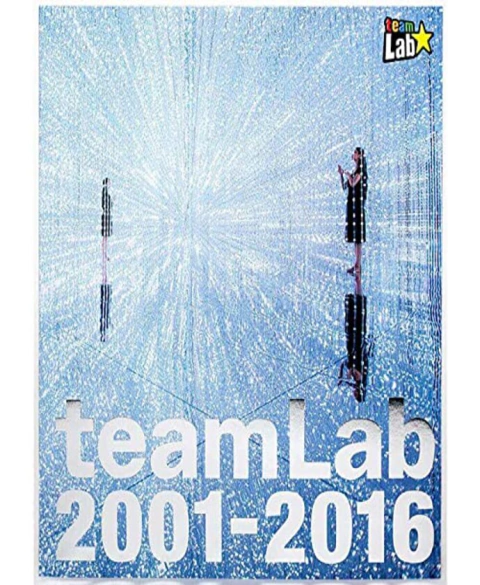 Team Lab 2001 / 2016