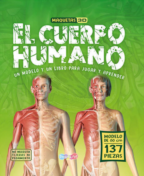 El Cuerpo Humano (Maquetas 3D)