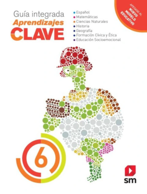 Aprendizajes Clave 6