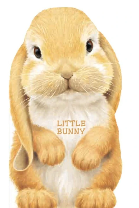 Little bunny