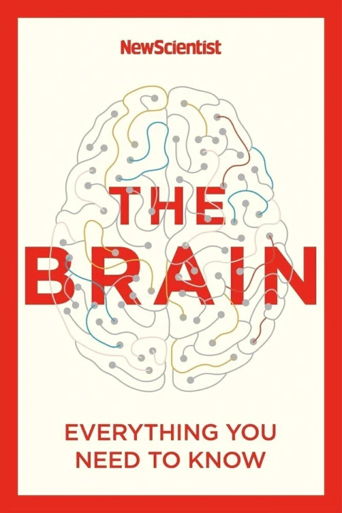 The brain: everything you need to know