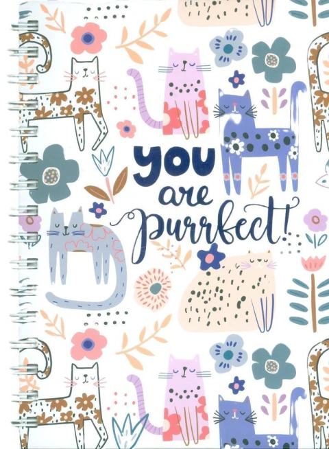 Libreta: you are perfect!