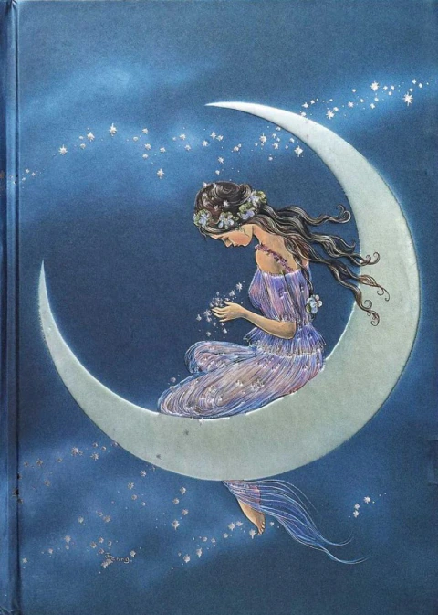 Libreta: Fairyland Moon Maiden