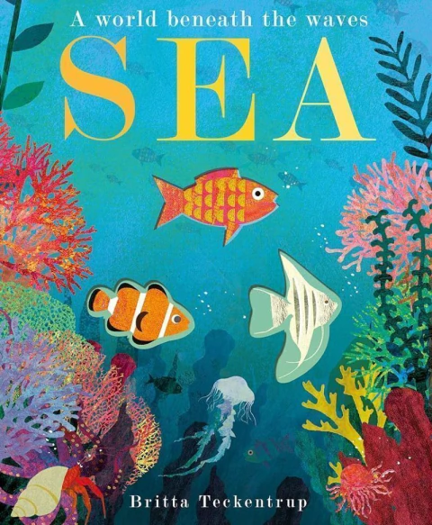 Sea: a world beneath the waves