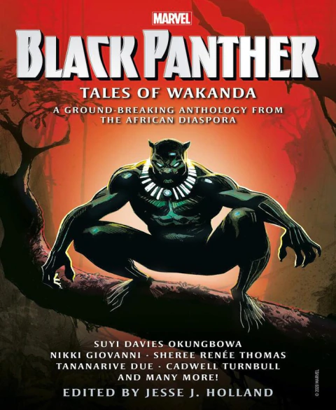 Marvel Black Panter tales from Wakanda