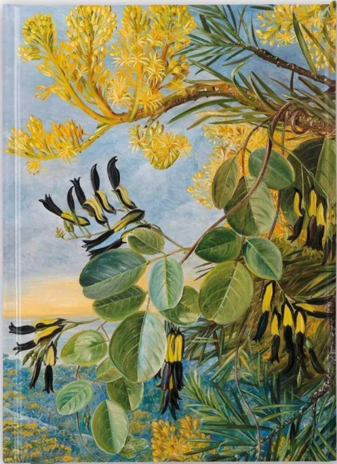 Libreta: Kew, Marianne North: Flowers Of The Flametree And Yellow And Black Twiner West Australia
