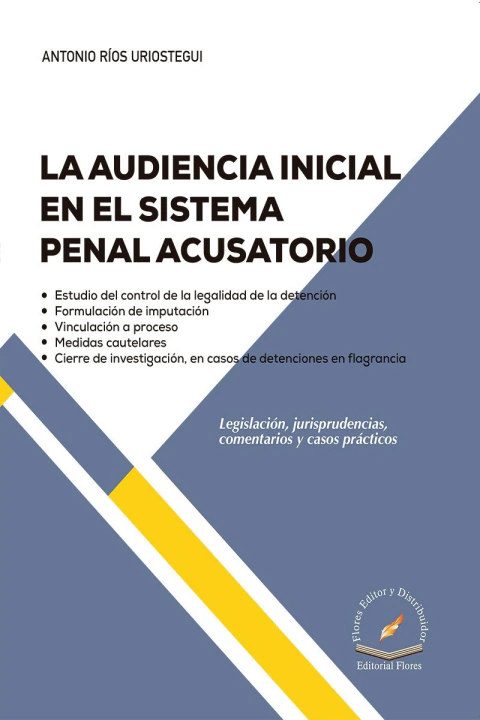 AUDIENCIA INICIAL