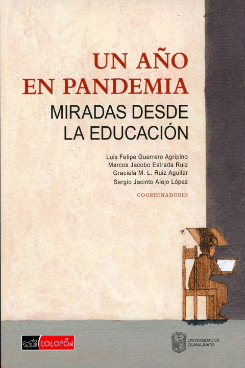 Un año en pandemia