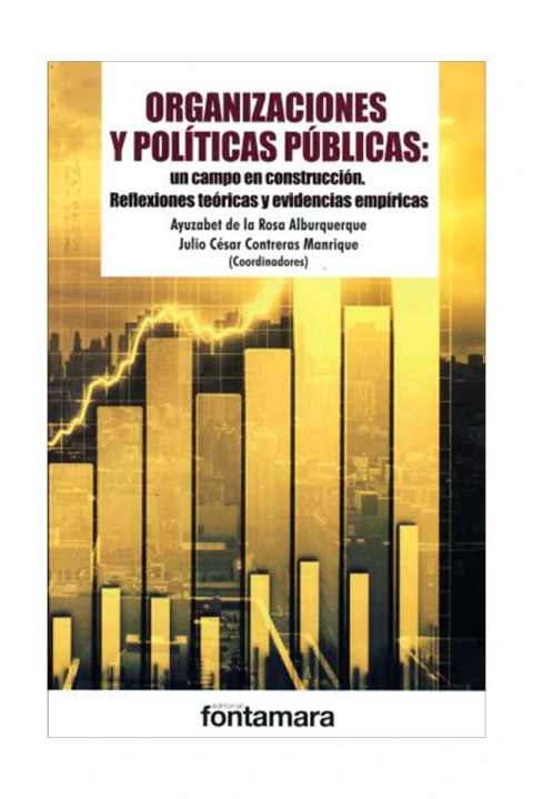 Organizaciones y políticas públicas: un campo en construcción