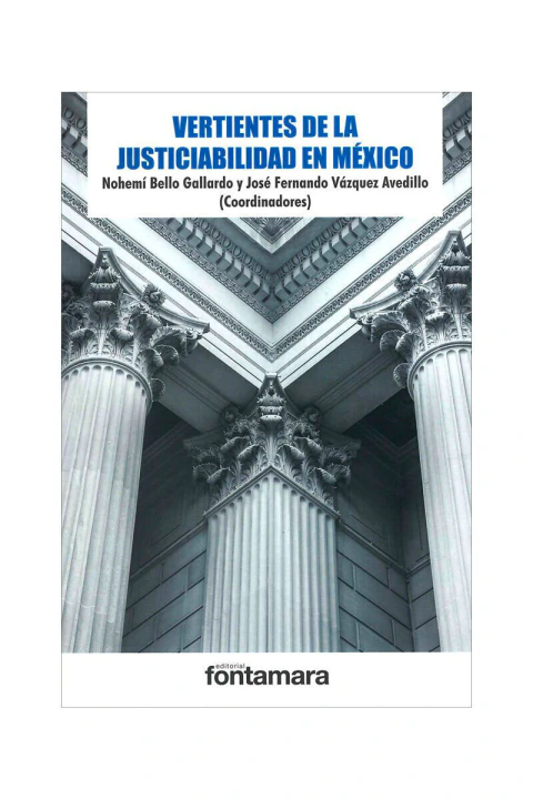 VERTIENTES DE LA JUSTICIABILIDAD EN MEXICO