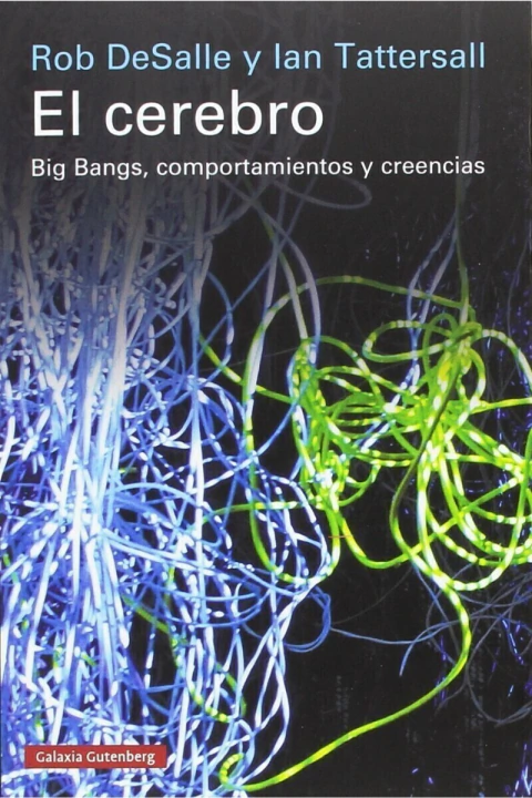 EL CEREBRO: BIG BANGS, COMPORTAMIENTOS Y CREENCIAS