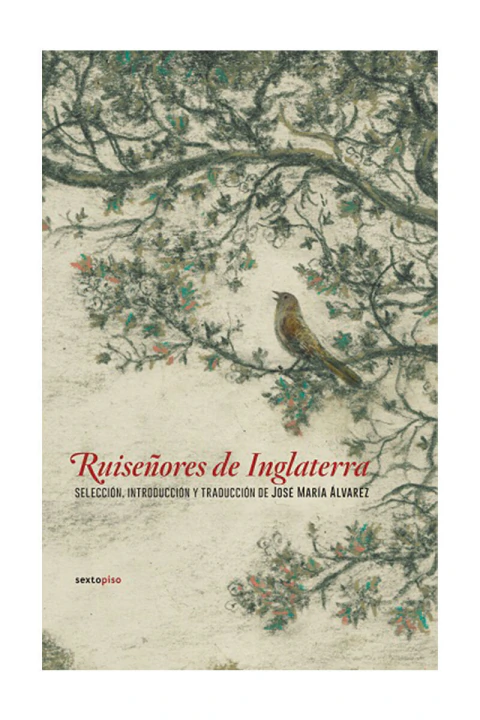 RUISEÑORES DE INGLATERRA