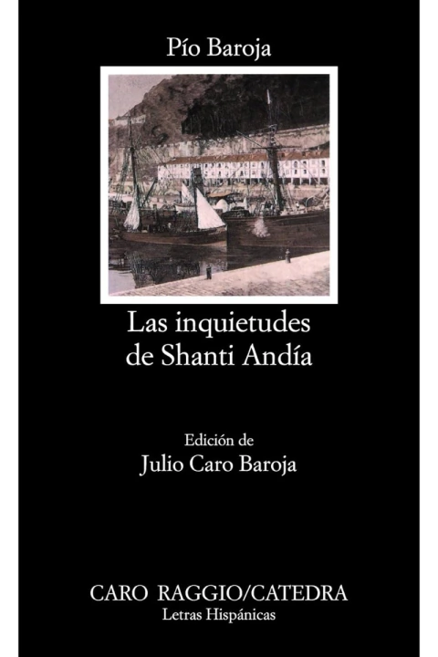 LAS INQUIETUDES DE SHANTI ANDIA