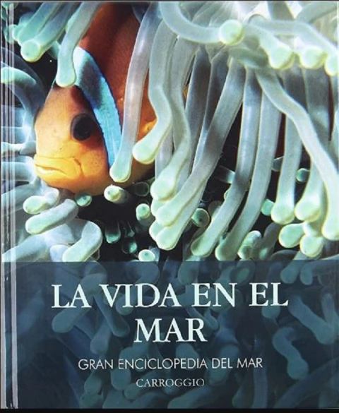 La vida en el mar