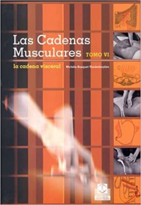 LAS CADENAS MUSCULARES TOMO VI