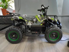 Mini Cuatri Eléctrico Sunra 800W