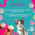 AREIA HIGIÊNICA WISECAT BIONATURE SENSITIVE GRÃOS FINOS – 4KG - loja online