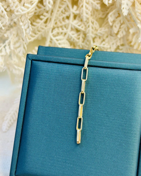 Pulseira Lacraia Ouro 18k