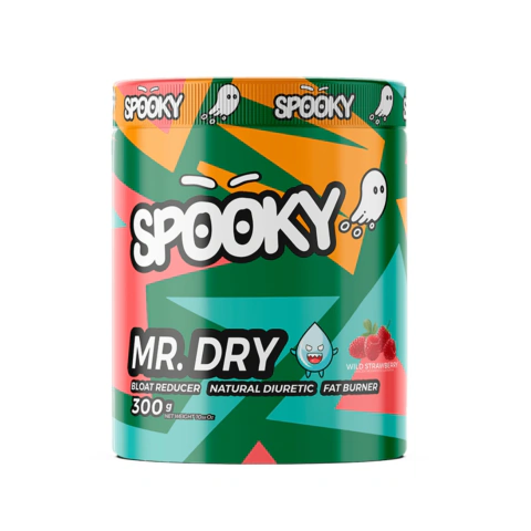 MR. DRY - 300G