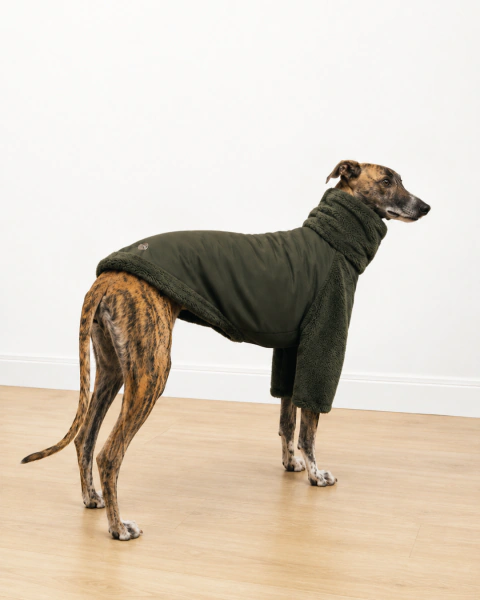 Poleras de piel para galgos en internet
