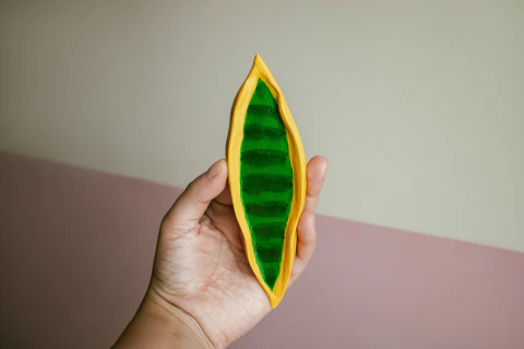Planta decorativa | Espada de Santa Barbara/Iansã