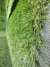 Grama Soft 30mm Tricolor ( 2 tons de verde + Palha ) | Rolo 50m² (2x25m) - loja online