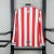 Retro Chivas manga longa 2016/2017 110th Anniversary na internet